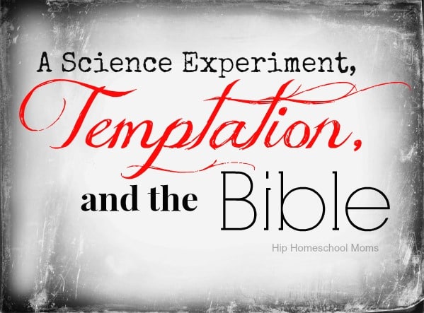 A Science Experiment, Temptation, and Bible