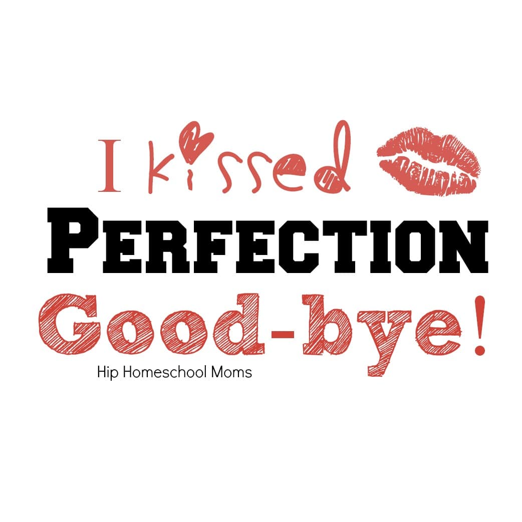 I Kissed Perfection Good-bye