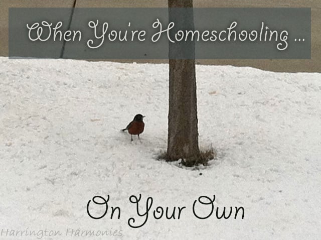 When You're Homeschooling on Your Own- Tips on Homeschooling  Alone