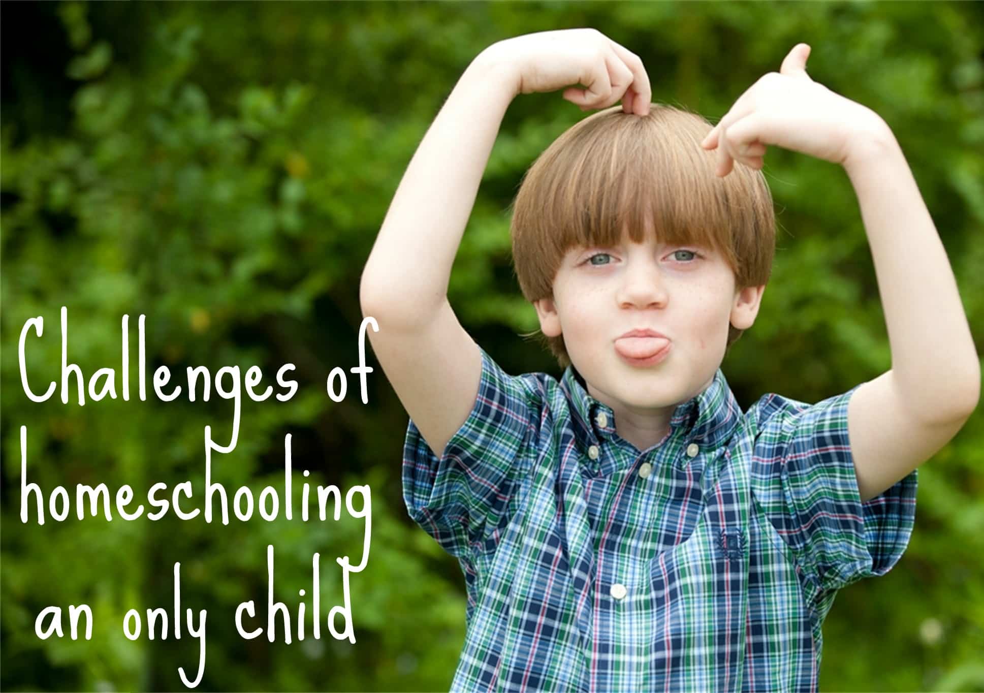 Challenges of Homeschooling an Only Child