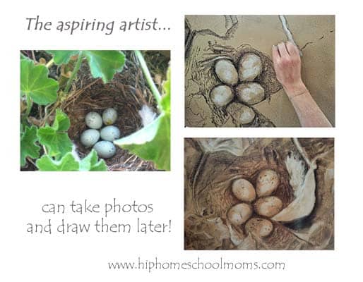 Drawing Eggs in Nature Journal | Hip Homeschool Moms