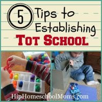 5 Tips to Establishing Tot School