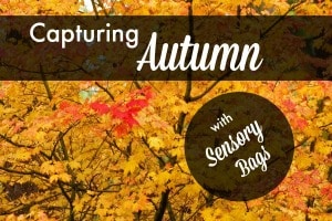 Capturing Autumn:  Sensory Bags