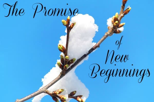 The Promise of New Beginnings!