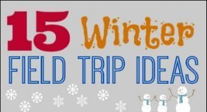 15 Winter Field Trip Ideas