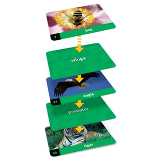 Linkology Educational Card Games