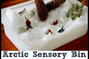 Arctic Sensory Bin