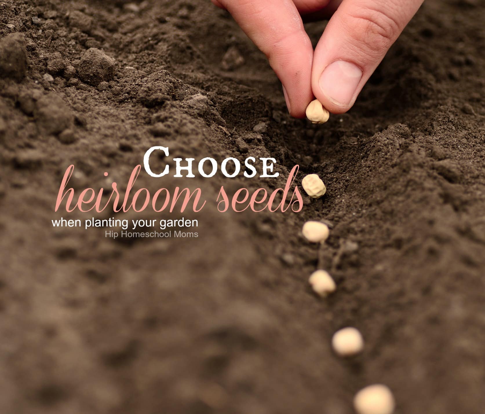 Choose Heirloom Seeds When Planting Your Garden