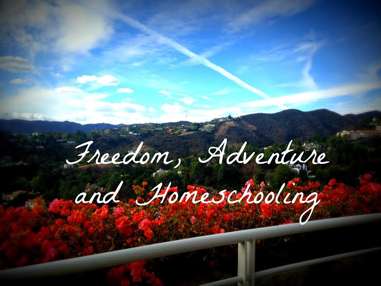 FreedomAdventureHomeschooling