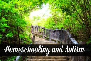 Homeschooling and Autism: How Our Homeschooling Journey Began