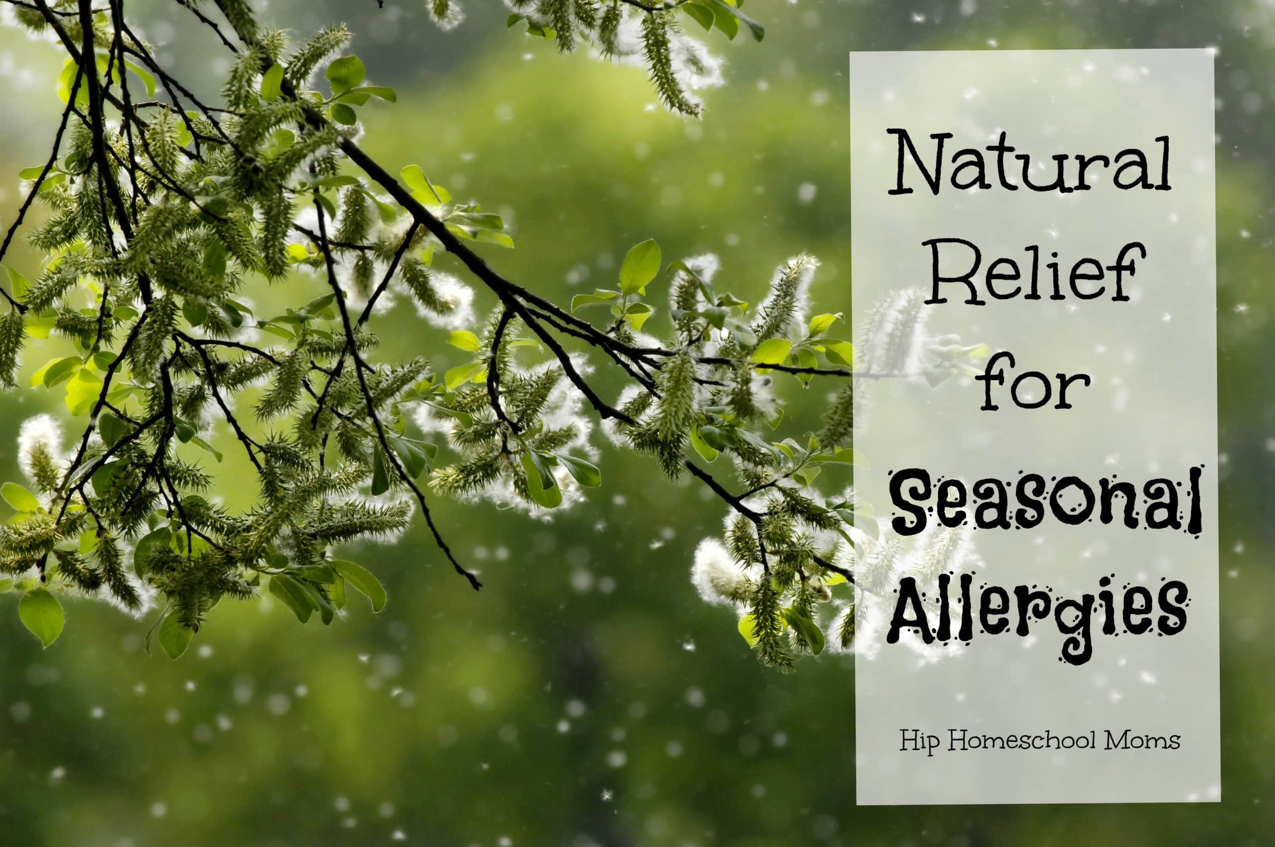 Natural Relief for Seasonal Allergies