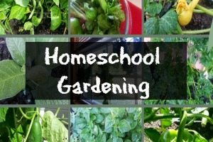 Homeschool Gardening