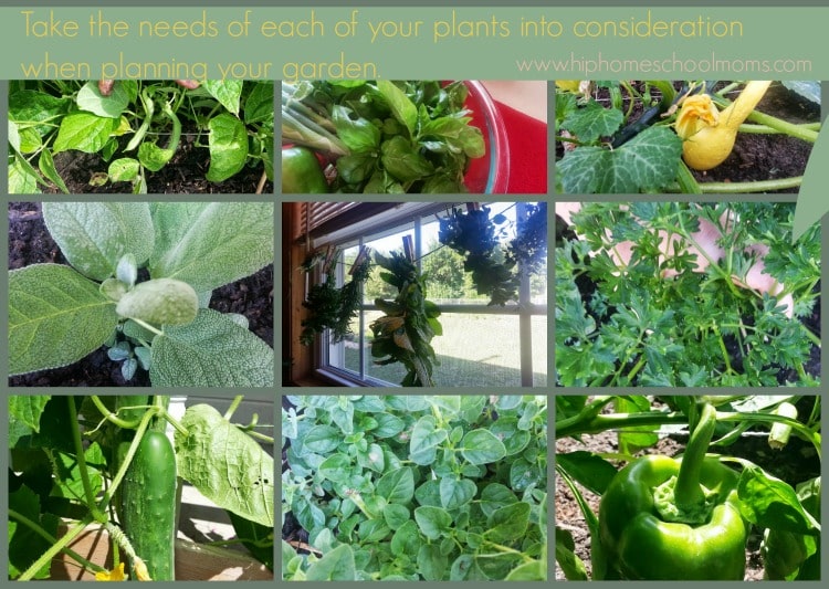 Take the needs of each of your plants into consideration when planning your garden. | Hip Homeschool Moms