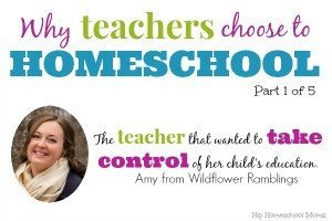 Why Some Teachers Homeschool:  Taking Control