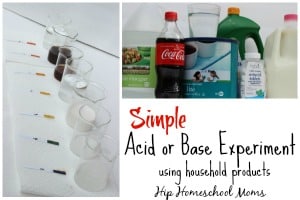 Acid or Base Experiment