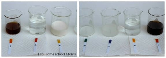 acid-base-experiment-litmus-test