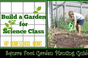 Build a Garden for Science Class
