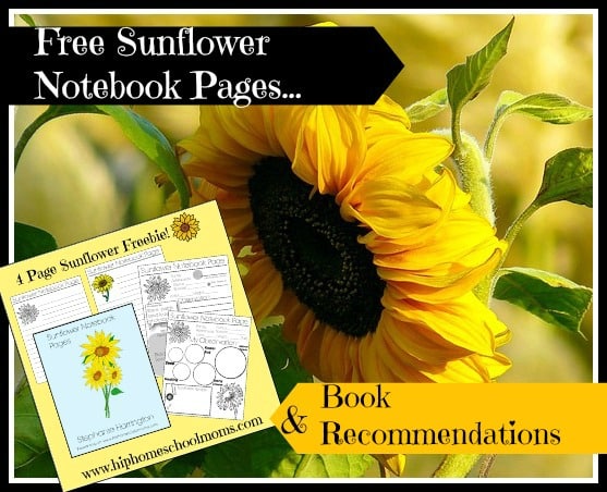 Free Sunflower Notebook Pages | Hip Homeschool Moms