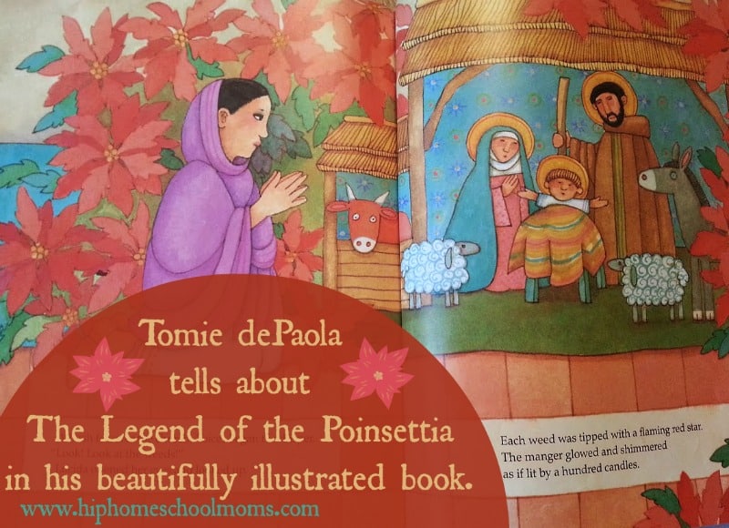 Inside the Legend of the Poinsettia . The post gives tutorial ona poinsettia art project to go with it. | Hip Homeschool Moms