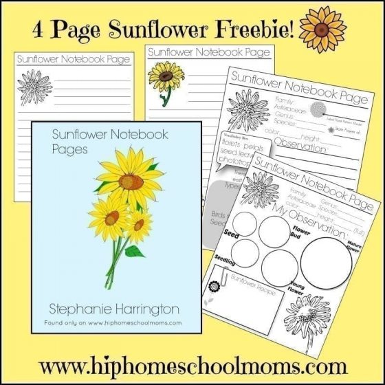 Free Sunflower Notebook Pages | Hip Homeschool Moms