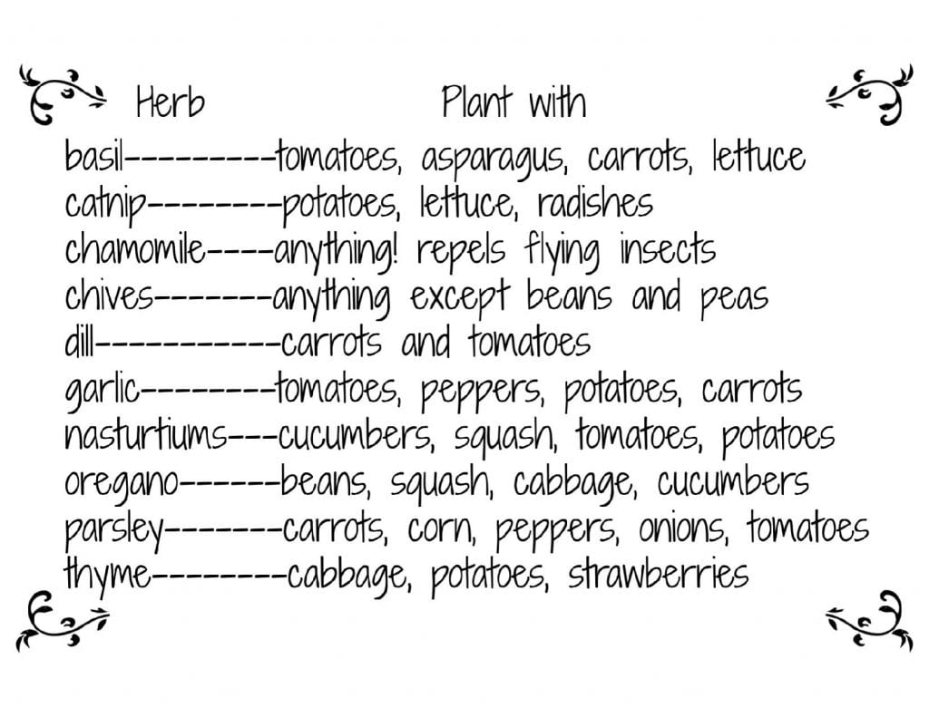 printable companion gardening chart