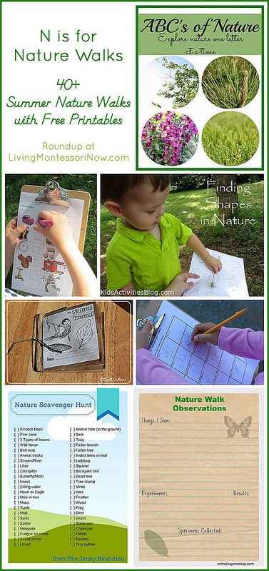N-is-for-Nature-Walks-with-Free-Printables