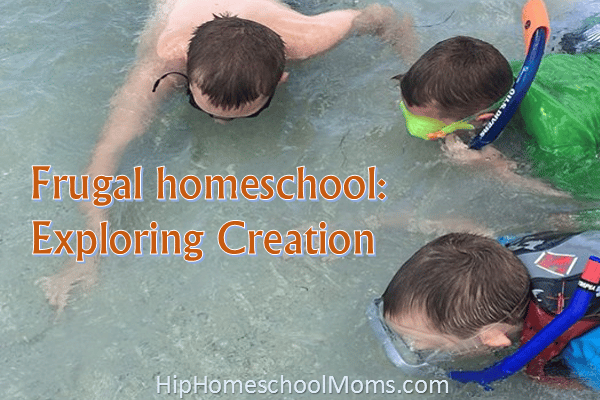 Frugal Homeschool: Exploring Creation