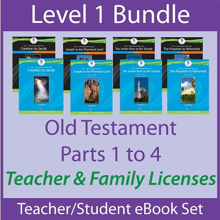 Beg OT Teacher-Family ebook