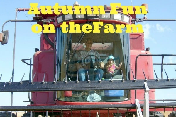 Autumn Fun on the Farm