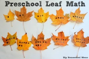 Preschool Leaf Math