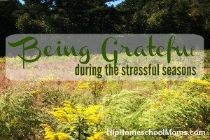 Being Grateful During the Stressful Seasons