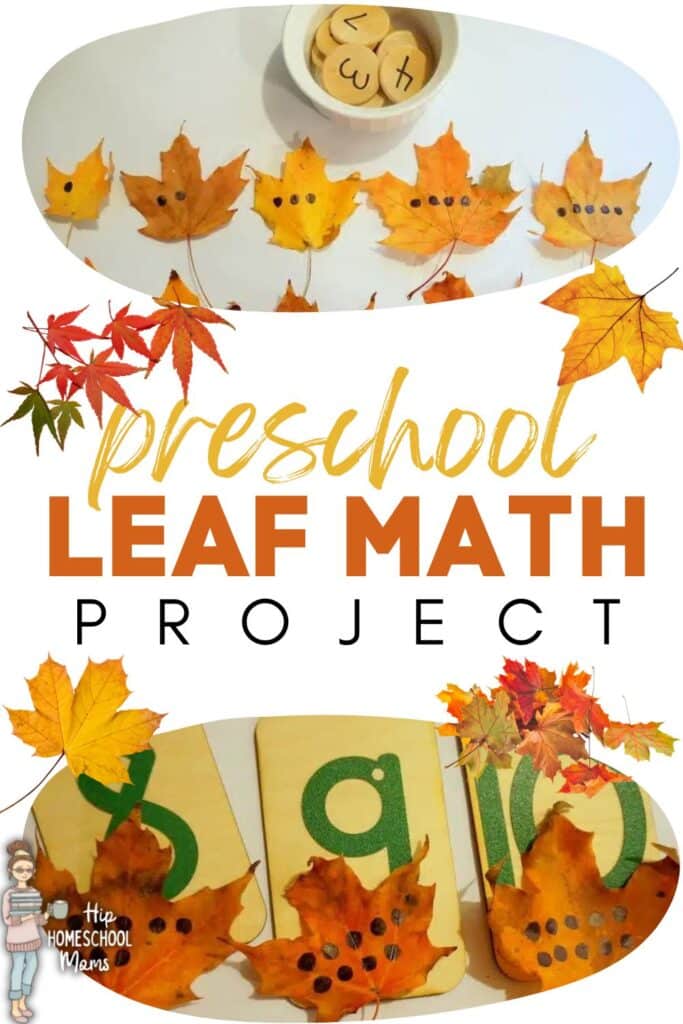 Preschool Leaf Math Project