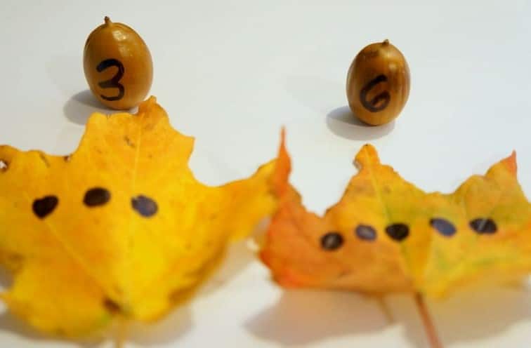 preschool leaf math