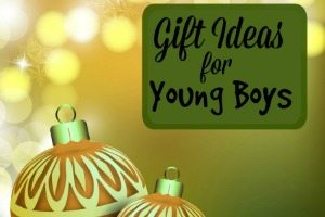 Gift Ideas for Young Boys