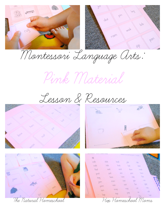 Montessori Language Arts: Pink Material Lesson & Resources