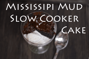 Mississippi Mud Slow Cooker Cake