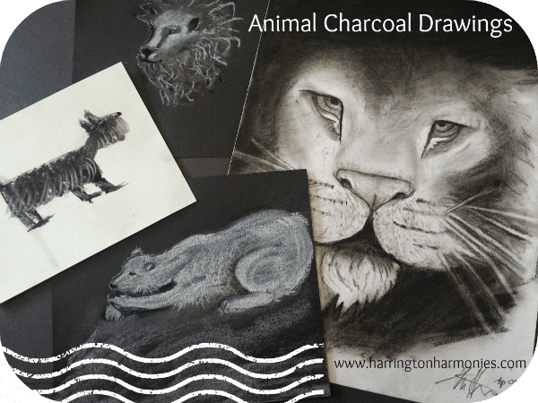 Draw animals with charcoal. Start with basic shapes and then add details.