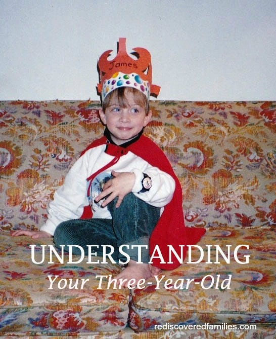 HHM Hop Understanding Your Three-Year-Old