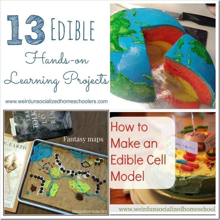 HOP 13-Edible-Hands-on-Learning-Projects