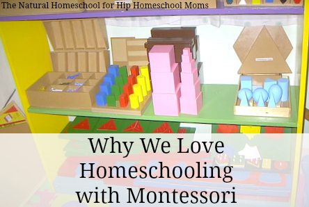 Why We Love Homeschooling Using Montessori