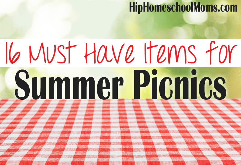 16 Must Have Items for Summer Picnics