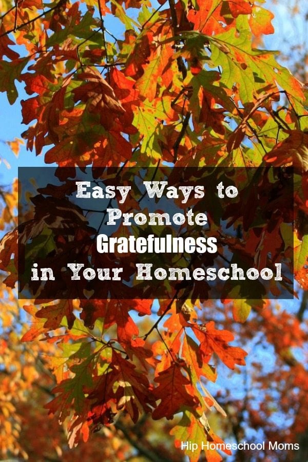 Easy Ways to Promote Gratefulness in Your Homeschool
