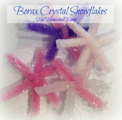 HHM-Borax-Crystal-Snowflakes-Resized