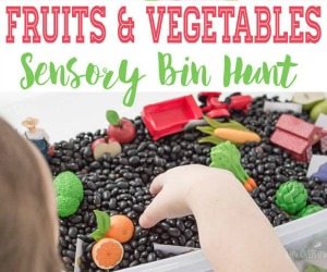 HHM Fruits and Vegetables Sensory Bin