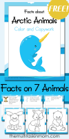 Color-and-Copy-Work-Facts-about-Arctic-Animals-includes-7-fun-animals-to-learn-about