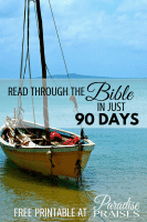 90-DAYS-BIBLE