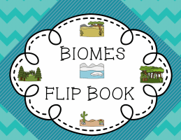 Biomes-Flip-Book-Cover-Pin