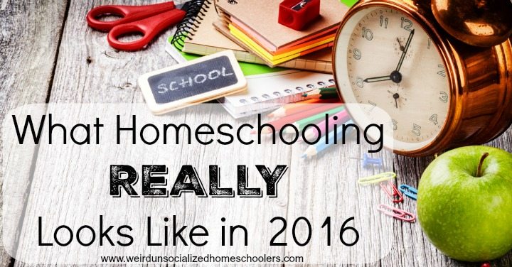 HHM What-Homeschooling-REALLY-Looks-Like-in-2016