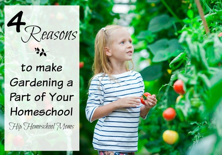 Four Reasons to Make Gardening a Part of Your Homeschool