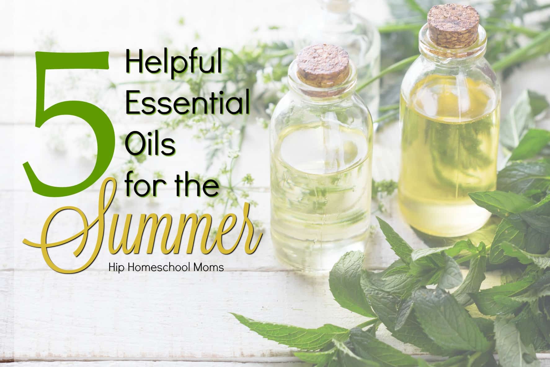 5 Helpful Essentials Oils for the Summer